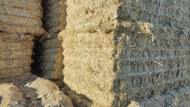 稻草柔丝，五道绳，无土，无膜，无发霉，优质稻草秸秆牧草