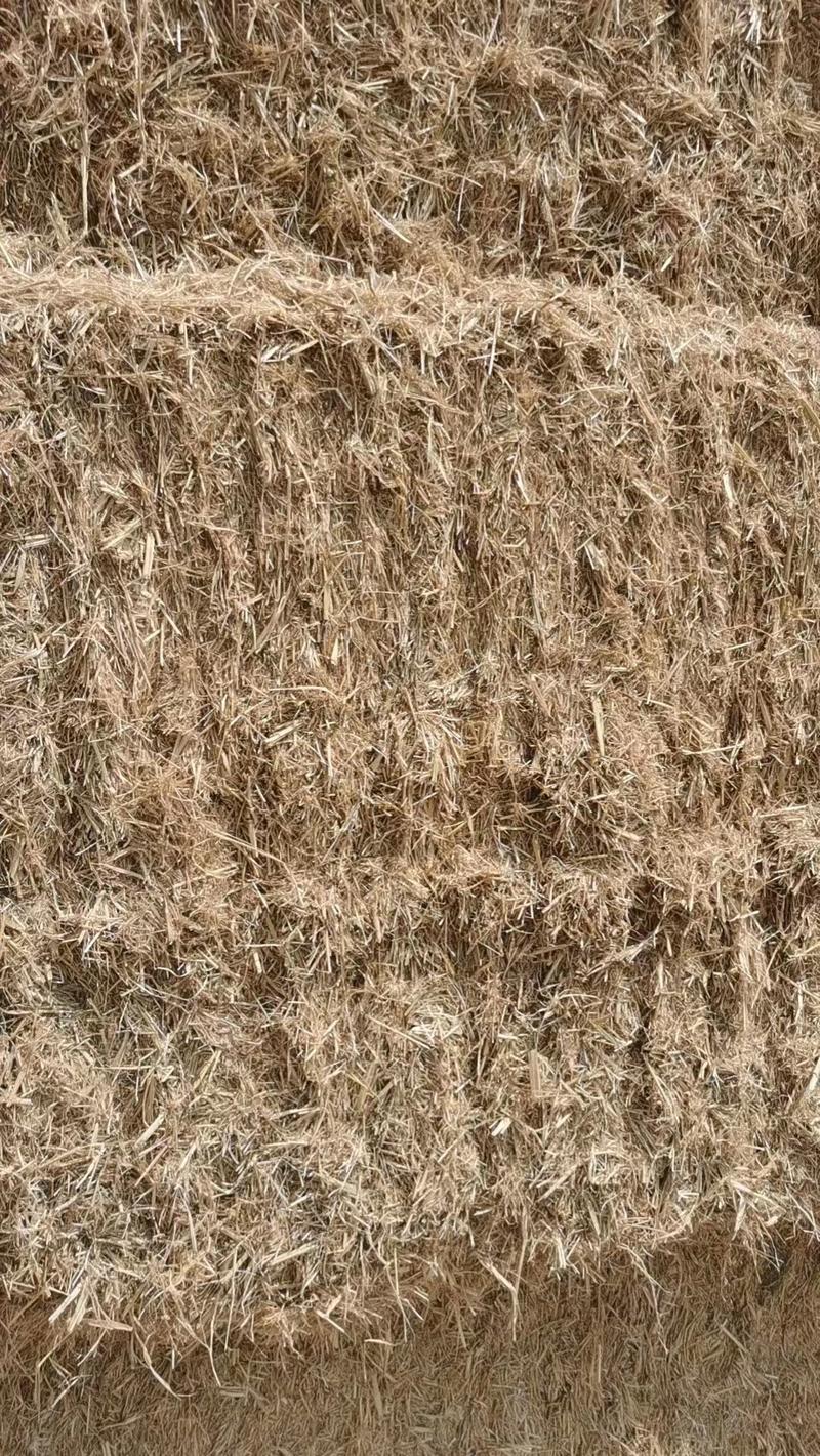 稻草柔丝，五道绳，无土，无膜，无发霉，优质稻草秸秆牧草