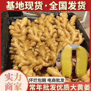 精选大黄姜电商货【水洗姜-烘干姜】全国发货/坏烂全赔
