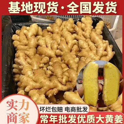 精选大黄姜电商货【水洗姜-烘干姜】全国发货/坏烂全赔