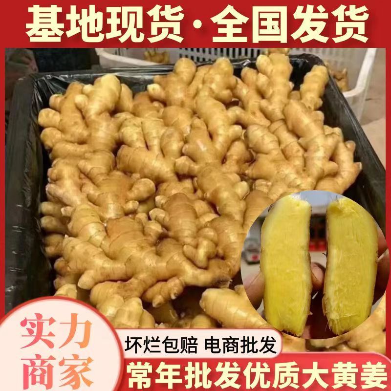 精选大黄姜电商货【水洗姜-烘干姜】全国发货/坏烂全赔