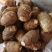 常年批发《芋头8520》山东芋头毛芋头按需加工全国发货