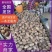 常年批发《芋头8520》山东芋头毛芋头按需加工全国发货