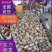 常年批发《芋头8520》山东芋头毛芋头按需加工全国发货