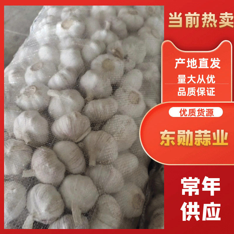 【精选】红蒜（5cm）干蒜常年供应视频看货诚信为本