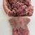 【熟牛头肉】优质牛肉资质齐全滨州厂家直销发货快电话洽谈