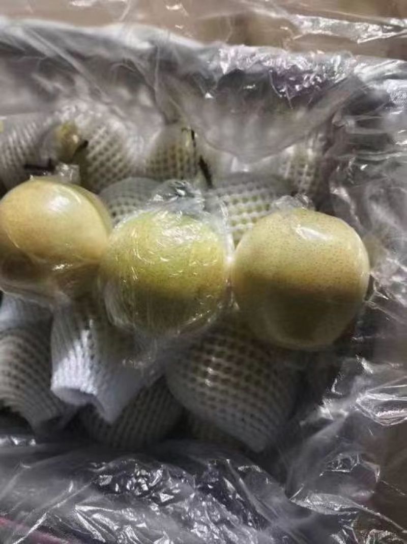 河北【青皇冠梨】肉厚核小口感翠甜皮薄汁多价格便宜保