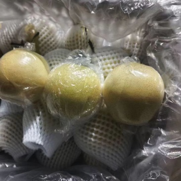 河北【青皇冠梨】肉厚核小口感翠甜皮薄汁多价格便宜保