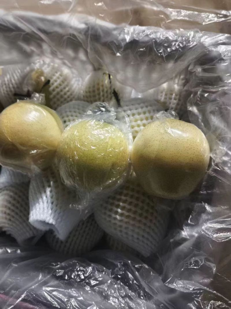 河北【青皇冠梨】肉厚核小口感翠甜皮薄汁多价格便宜保