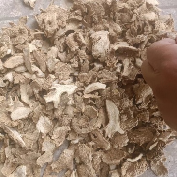 【精品】小黄姜晒片，热卖各类小黄姜，品种保证欢迎进店选购
