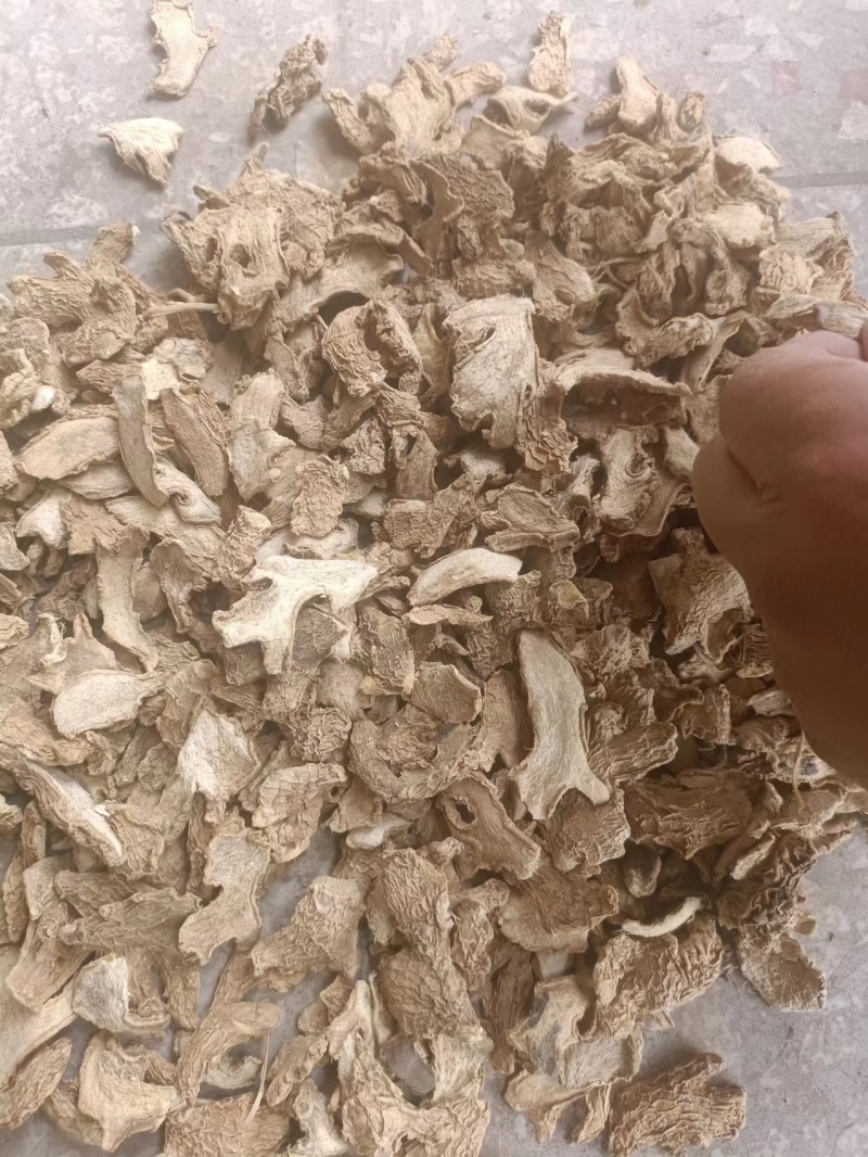 【精品】小黄姜晒片，热卖各类小黄姜，品种保证欢迎进店选购