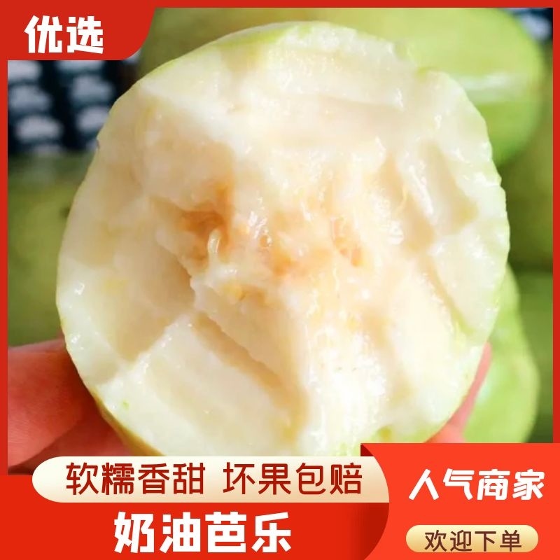 【软糯甜香】奶油芭乐新鲜上市个大味甜量大从优欢迎选购