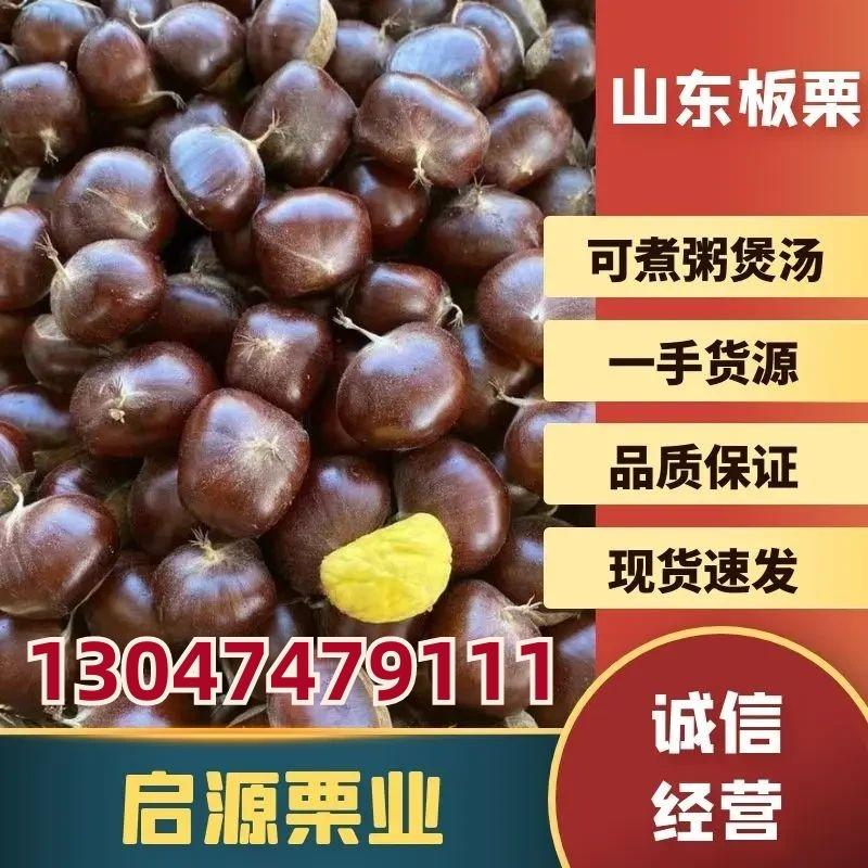 【热卖中】山东精品板栗香甜糯产地直供炒货店，不变色不发硬