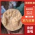 【周口精品龙九红薯】龙薯规格齐全，发往全国商超供应电商