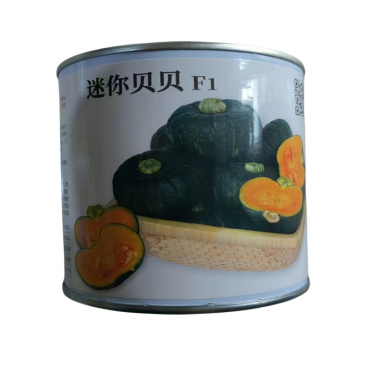 迷你贝贝南瓜种子春秋早熟迷你小南瓜种子水分少粉质甜面蔬