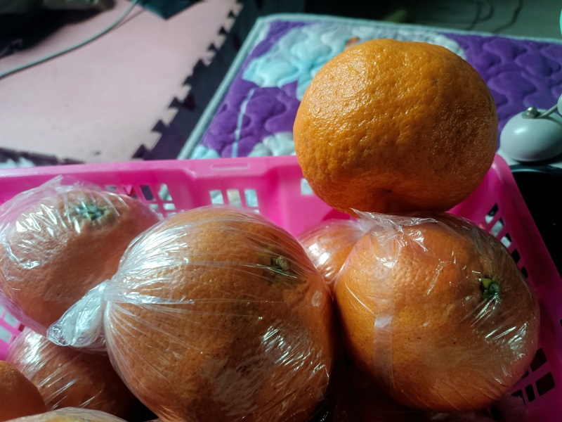 湖南精品明日见柑橘可大量供货价格优惠皮薄水分足欢迎咨询
