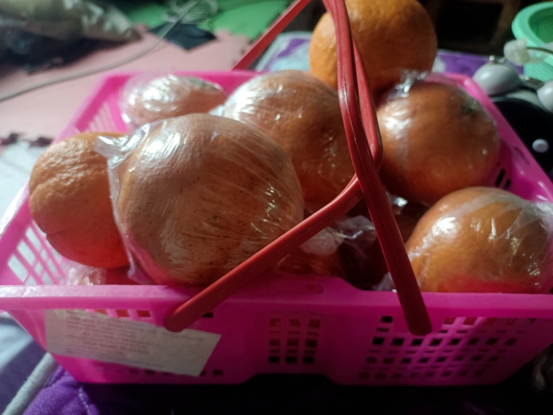 湖南精品明日见柑橘可大量供货价格优惠皮薄水分足欢迎咨询