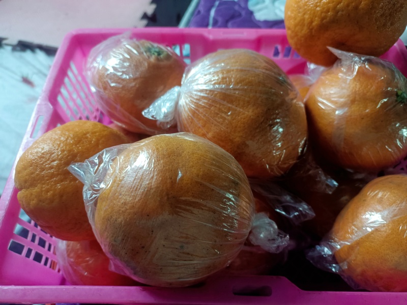 湖南精品明日见柑橘可大量供货价格优惠皮薄水分足欢迎咨询