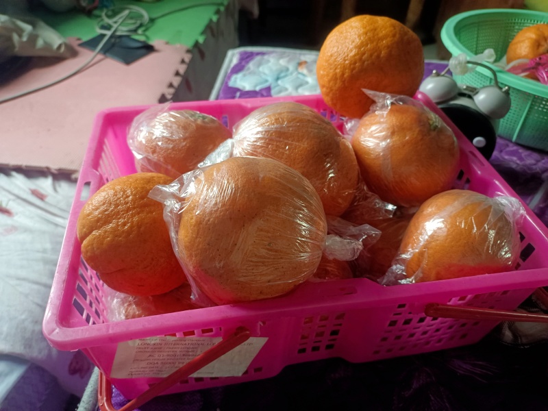 湖南精品明日见柑橘可大量供货价格优惠皮薄水分足欢迎咨询