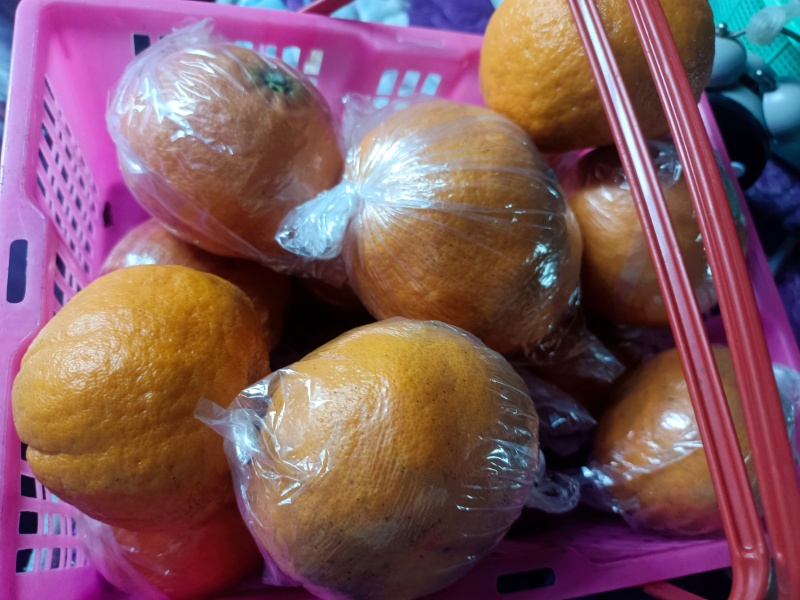 湖南精品明日见柑橘可大量供货价格优惠皮薄水分足欢迎咨询