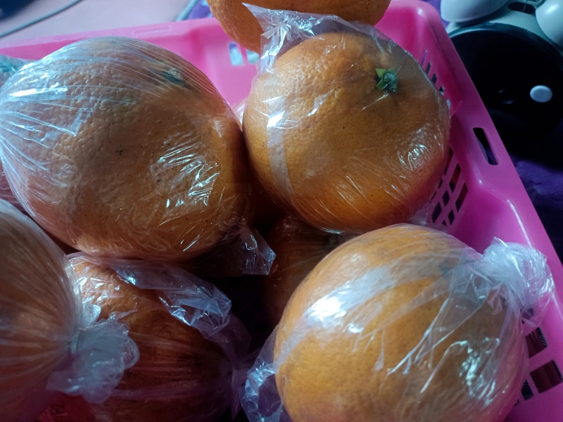 湖南精品明日见柑橘可大量供货价格优惠皮薄水分足欢迎咨询