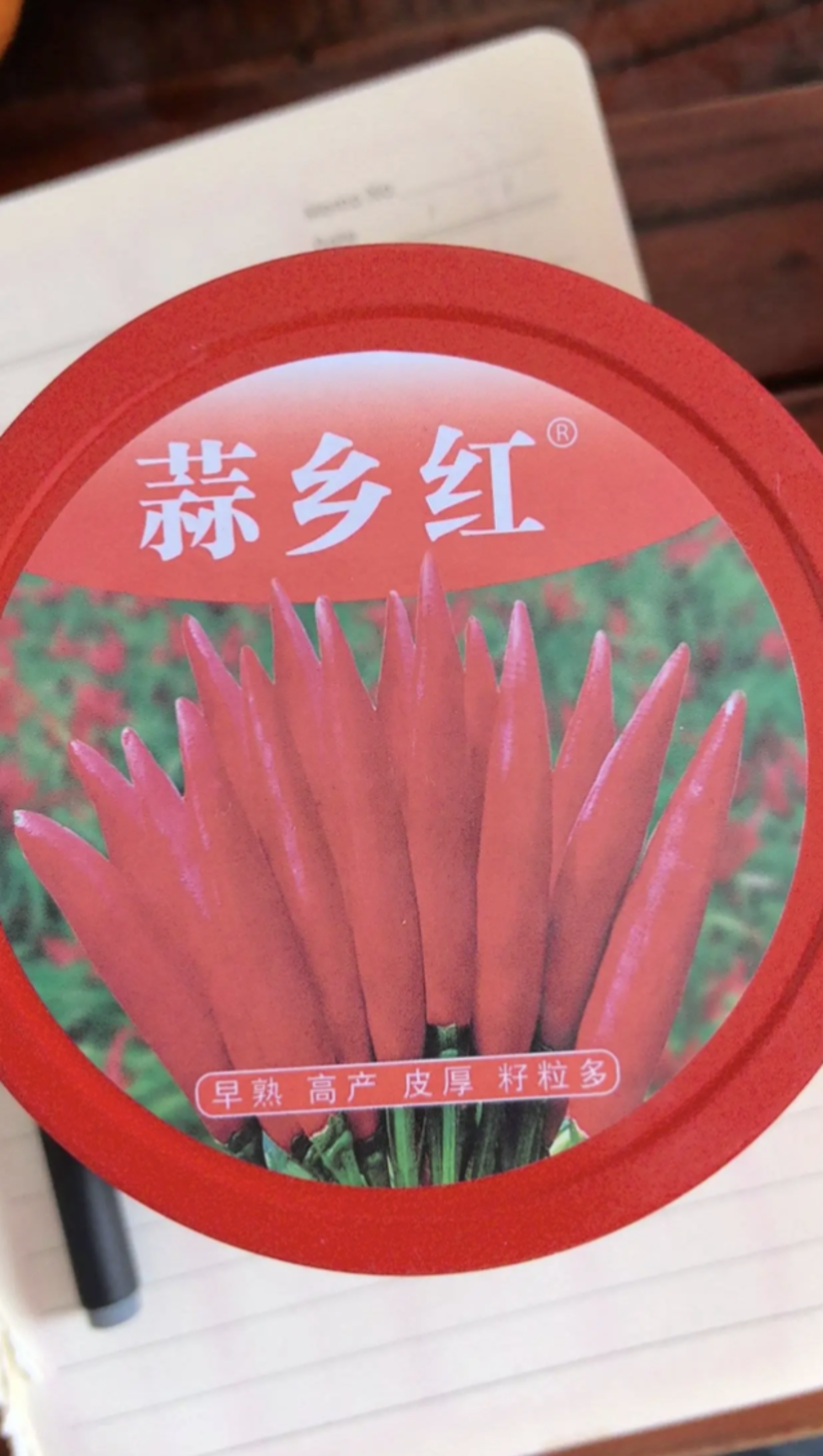 蒜乡红辣椒种子辣度高抗病能力强签合同包回收产量高