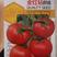 甘肃西红柿种子大量供应，规格齐全，品质保证，成活率高