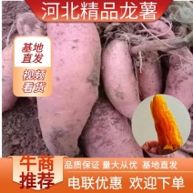 河北精品龙薯基地直发品质保证量大从优欢迎