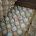 【自家养殖场】河南鸡蛋绿壳鸡蛋品质保证欢迎咨询