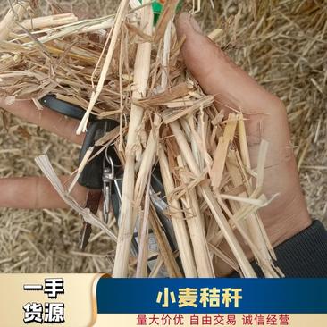 河南正阳优质小麦秸秆，牛羊马驴草料，揉丝压块，八个锣草粉