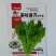 美味香芥饺子菜种子营养美味有苦味品质好适应性广优质良种