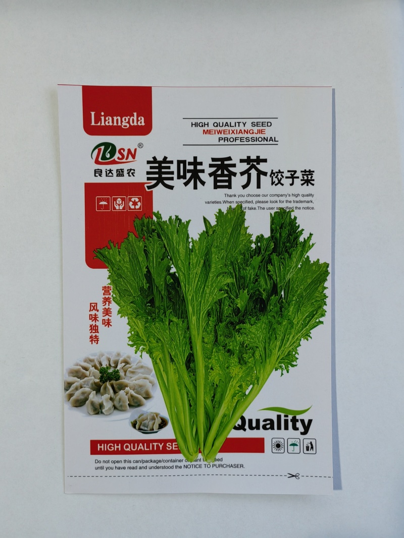 美味香芥饺子菜种子营养美味有苦味品质好适应性广优质良种