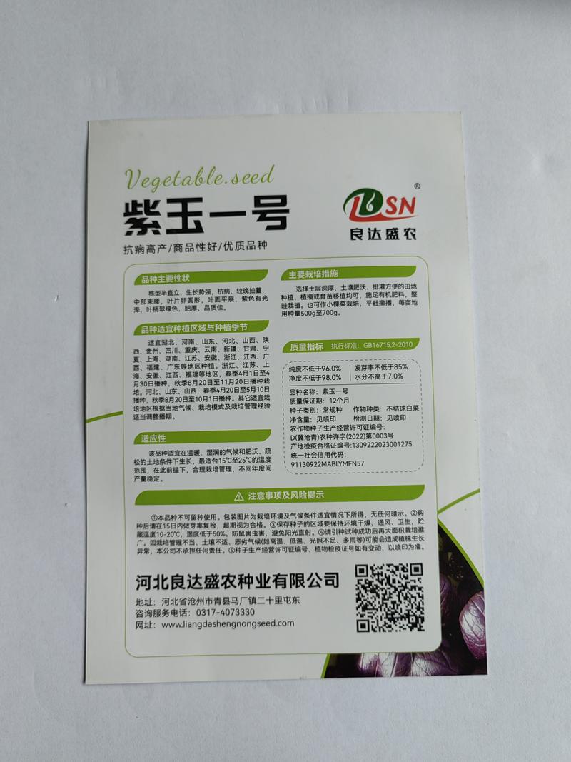 紫玉一号油菜种子抗病高产商品性好生长势强叶片肥厚优质良种