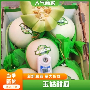 海南玉姑奶香蜜玉菇甜瓜口感软糯香甜适合老人小孩青年人
