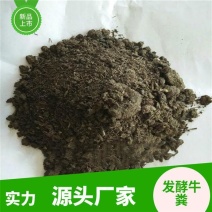 发酵牛粪有机肥增强地力蘑菇填充物莲雾桃树梨树种植肥