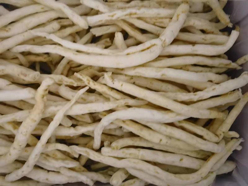 四川精品川明参，南沙参药用价值高价格优惠可大量供货欢迎咨询