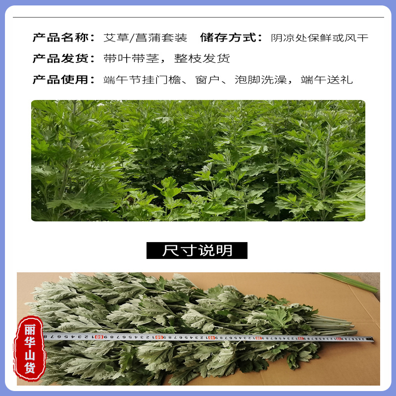 端午节挂门新鲜艾草产地直发可定制包装冷藏发货