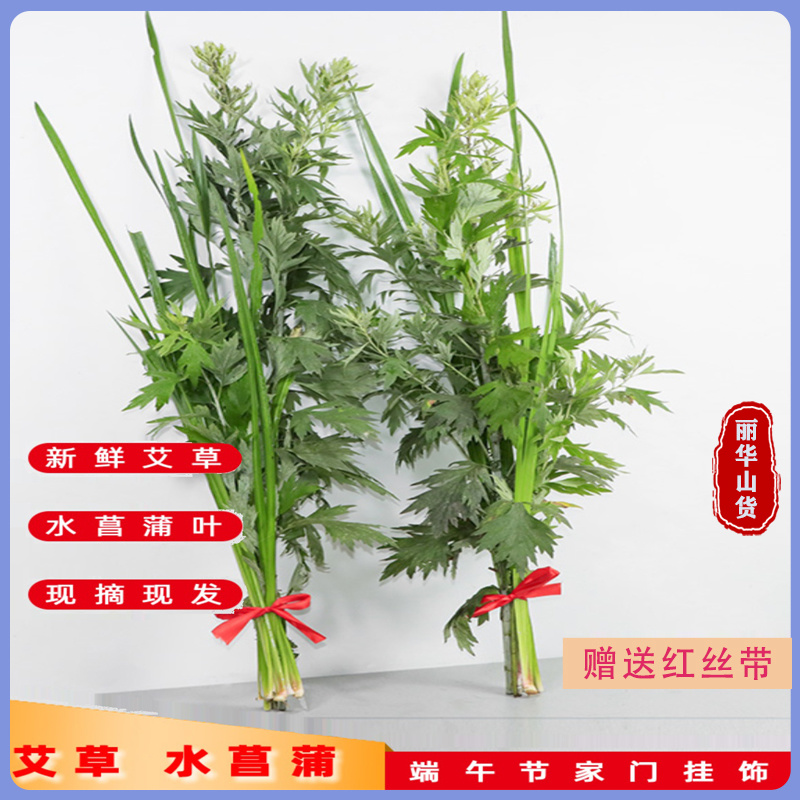 端午节挂门新鲜艾草产地直发可定制包装冷藏发货