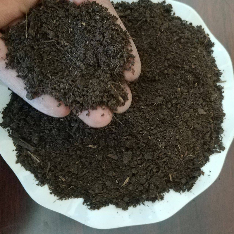 发酵猪粪提升地力减少病虫害调节土壤板结增产提质