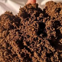 育苗基质蚯蚓粪花卉苗木果蔬通用腐熟有机肥家庭园艺营养土