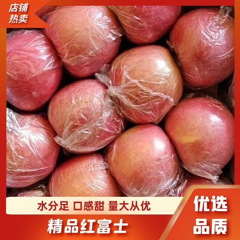 红富士苹果，脆甜果，黄嚷，糖份高，货源充足：全国代发