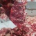 山东精品纯干牛碎肉，养殖宰杀一体化，欢迎选购