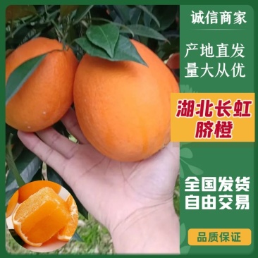 秭归长红脐橙（果园直发）鲜甜多汁，口感嫩滑诚信实力代办