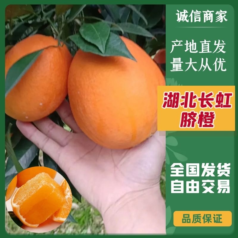 秭归长红脐橙（果园直发）鲜甜多汁，口感嫩滑诚信实力代办