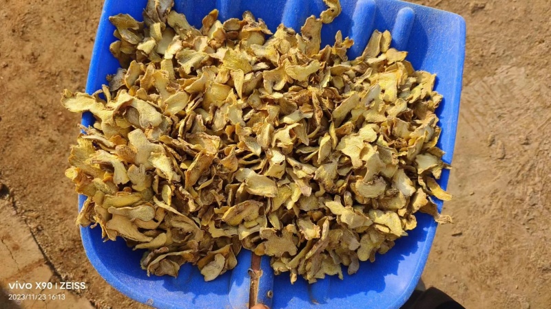 云南本地姜片，品质保证，一手货源，欢迎大家来电咨询