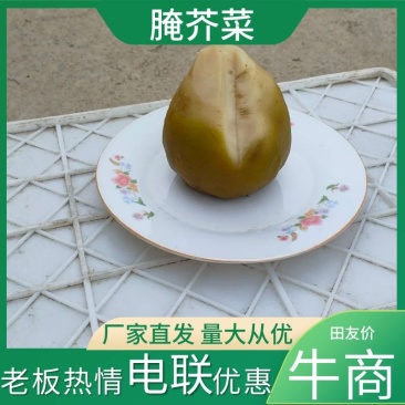 【腌芥菜】咸菜芥菜头一手货源厂家直发欢迎采购