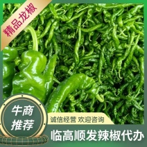 【推荐】龙椒，现货大量供应，物美价廉，对接各大市场欢迎来电