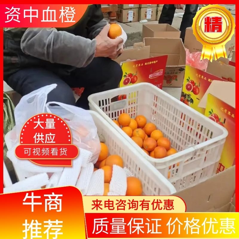 精品四川资中塔罗科血橙孕妇橙手剥橙支持一件代发（包邮）