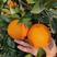 【精选】湖北橙子纽荷尔脐橙大量上市代发全国市场供电商