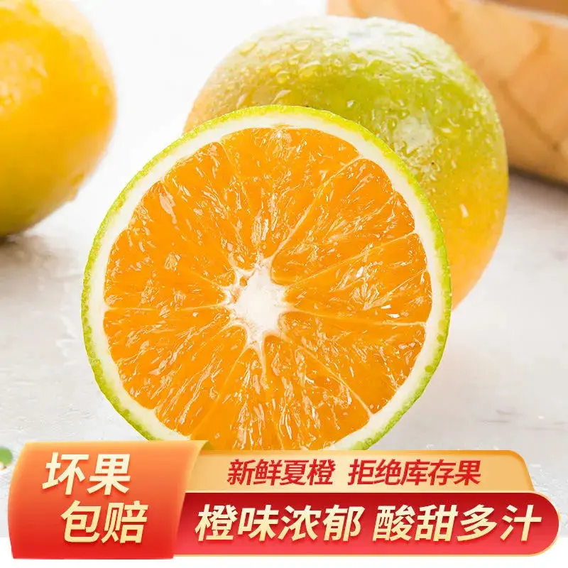【推荐】秭归九月红爱，媛果冻橙/秋橙/园红/基地直发